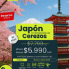 Japon temporada de cerezos 2026